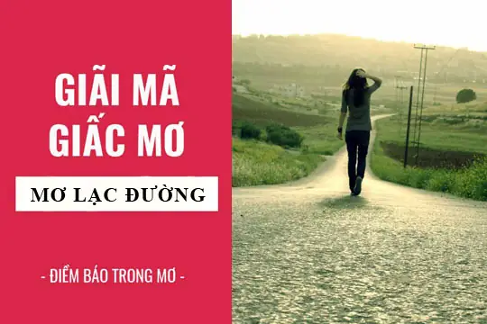 Giải Mã Giấc Mơ Thấy Mình Đi Lạc Đường: Ý Nghĩa Và Những Điềm Báo Bạn Cần Biết