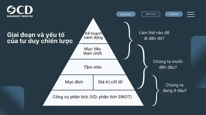 Giải Mã Giấc Mơ Thấy Mình Là Vua: Điềm Báo, Ý Nghĩa & Lời Khuyên Thực Tế