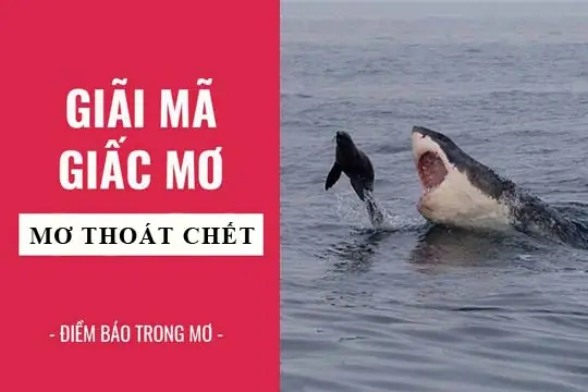 Giải Mã Giấc Mơ Thấy Mình Thoát Chết: Ý Nghĩa Tâm Linh Và Những Con Số May Mắn
