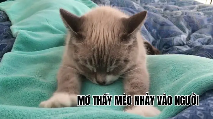 Giải Mã Giấc Mơ Thấy Nháy Mắt: Điềm Báo Gì Và Những Lý Giải Khoa Học