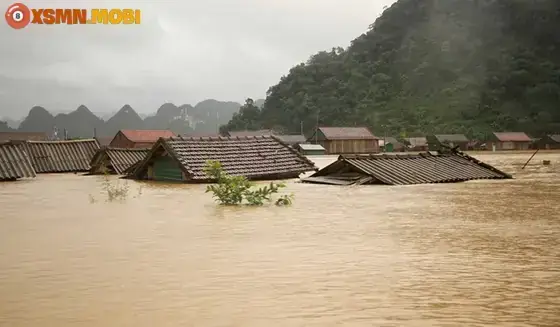 Giải Mã Giấc Mơ Thấy Nước Ngập Chợ: Chi Tiết Ý Nghĩa Các Trường Hợp Phổ Biến