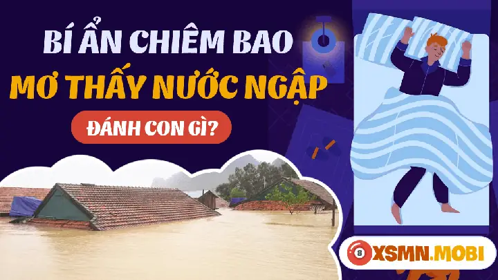 Giải Mã Giấc Mơ Thấy Nước Ngập Đường: Điềm Báo Gì & Con Số May Mắn