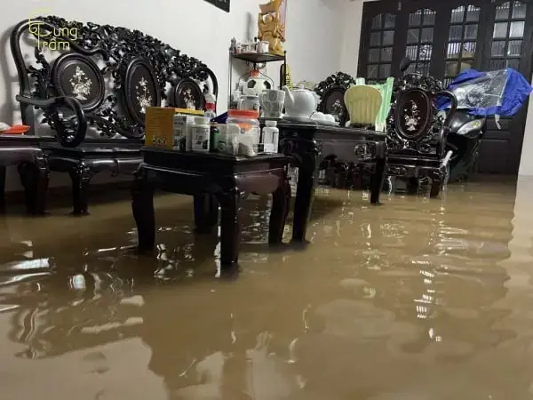 Giải Mã Giấc Mơ Thấy Nước Tràn Vào Nhà: Điềm Báo Gì Và Cách Xử Lý Ra Sao?