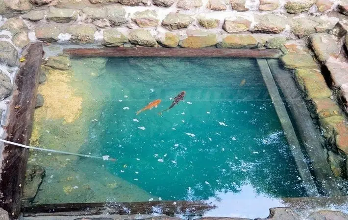 Giải Mã Giấc Mơ Thấy Nước Và Cá: Điềm Báo Và Con Số May Mắn Từ Tiềm Thức