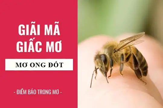 Giải Mã Giấc Mơ Thấy Ông Đốt: Những Điềm Báo Và Ý Nghĩa Tâm Linh