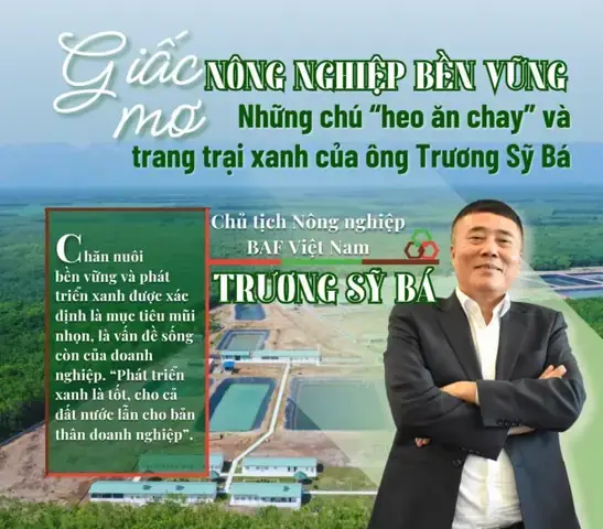 Giải Mã Giấc Mơ Thấy Phân Lợn: Điềm Báo Tốt Xấu & Con Số May Mắn