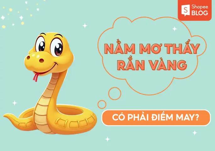 Giải Mã Giấc Mơ Thấy Phụ Nữ Bị Chặt Đầu: Điềm Báo Gì & Nên Đánh Con Nào?