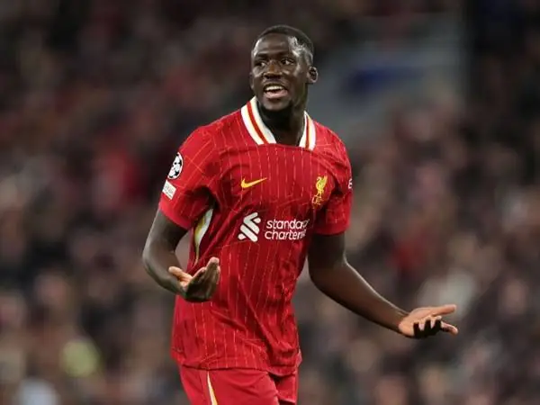 Giải Mã Giấc Mơ Thấy Quả Roi: Chiêm Bao Lành Hay Dữ & Con Số May Mắn