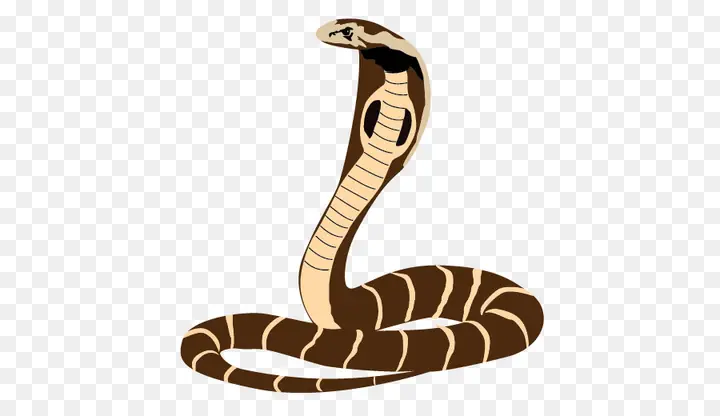 Giải Mã Giấc Mơ Thấy Rắn Cắn Vào Chân: Điềm Báo Gì Và Ý Nghĩa Đằng Sau