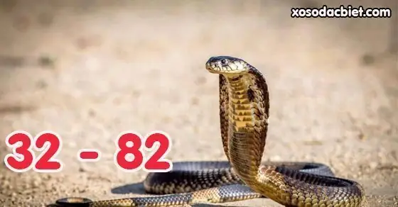 Giải Mã Giấc Mơ Thấy Rắn Hổ Mang: Điềm Báo Gì Và Những Con Số May Mắn