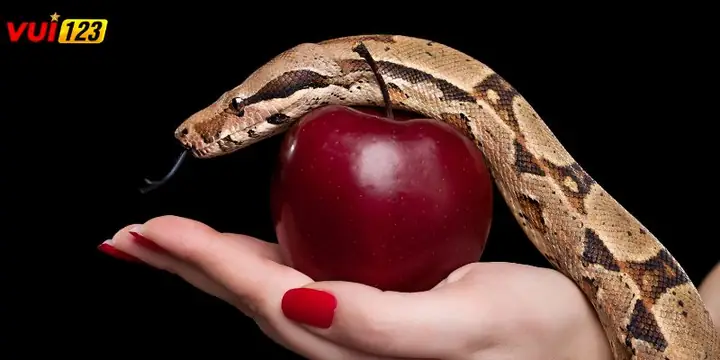 Giải Mã Giấc Mơ Thấy Rắn: Ý Nghĩa Tâm Linh Và Những Con Số May Mắn