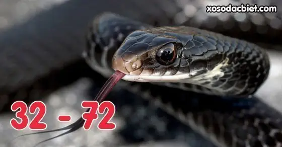 Giải Mã Giấc Mơ Thấy Rắn Màu Đen: Điềm Báo Gì Và Những Con Số May Mắn