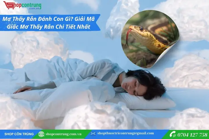Giải Mã Giấc Mơ Thấy Run: Nguyên Nhân, Ý Nghĩa Tâm Lý Và Cách Xử Lý