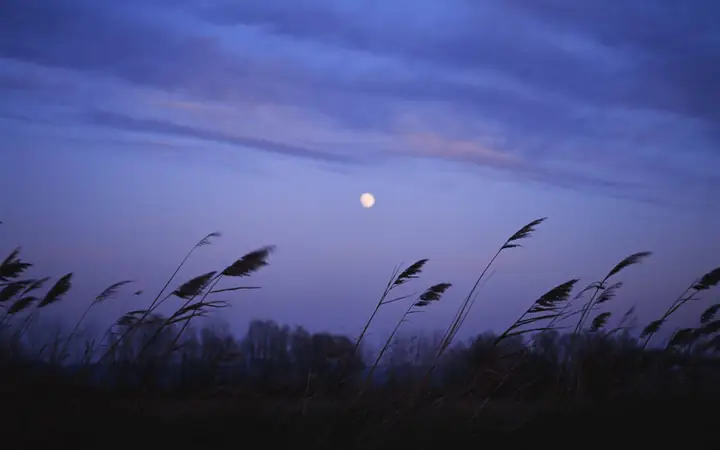 Giải Mã Giấc Mơ Thấy Sợi Chỉ: Ý Nghĩa Và Thông Điệp Tiềm Ẩn