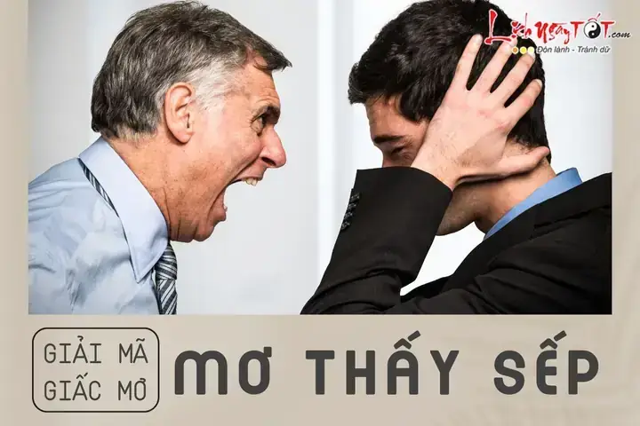 Giải Mã Giấc Mơ Thấy Sếp Cũ: Thông Điệp Từ Tiềm Thức Và Lời Cảnh Báo Tâm Linh