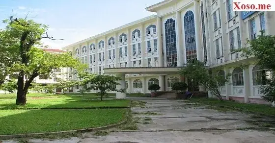 Giải Mã Giấc Mơ Thấy Thi Đỗ: Tâm Lý Học, Điềm Báo & Cách Xử Lý