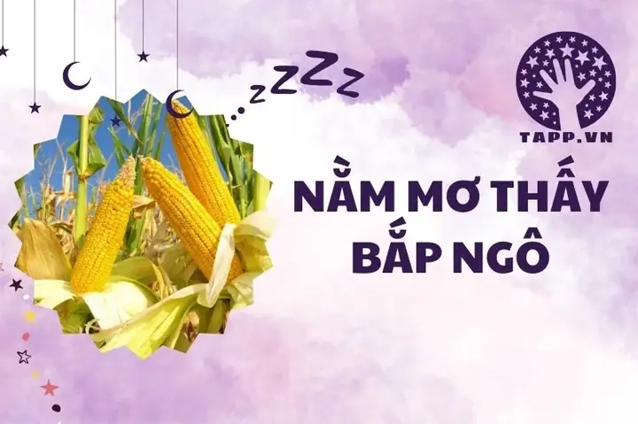 Giải Mã Giấc Mơ Thấy Thu Hoạch Ngô: Ý Nghĩa Và Điềm Báo Đằng Sau