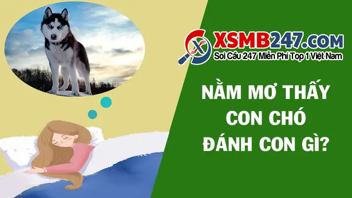 Giải Mã Giấc Mơ Thấy Trái Cây: Những Điềm Báo Và Ý Nghĩa Đặc Biệt