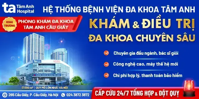 Giải Mã Giấc Mơ Thấy Trái Bưởi: Điềm Báo Tâm Linh & Phân Tích Tâm Lý