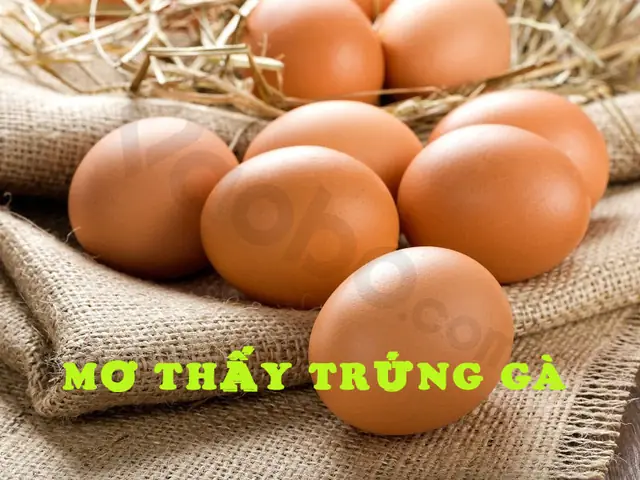 Giải Mã Giấc Mơ Thấy Trứng: Bí Ẩn Điềm Báo Và Con Số Tài Lộc