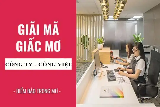 Giải Mã Giấc Mơ Thấy Công Việc: Thông Điệp Tiềm Thức Đang Muốn Nhắn Nhủ Điều Gì?