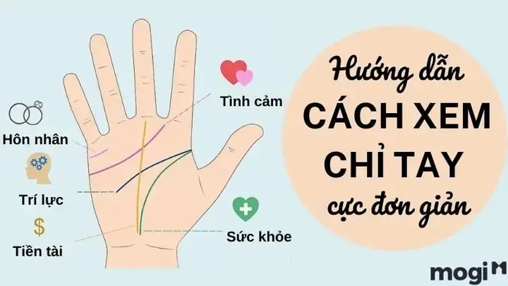 Giải Mã Giấc Mơ Xem Chỉ Tay: Thông Điệp Ẩn Giấu Từ Tiềm Thức