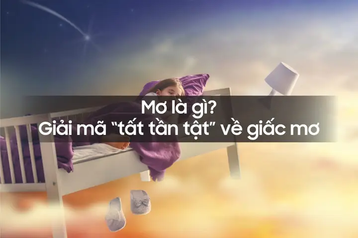 Giải Mã Tất Cả Các Giấc Mơ: Cẩm Nang Khoa Học Tâm Lý Toàn Tập