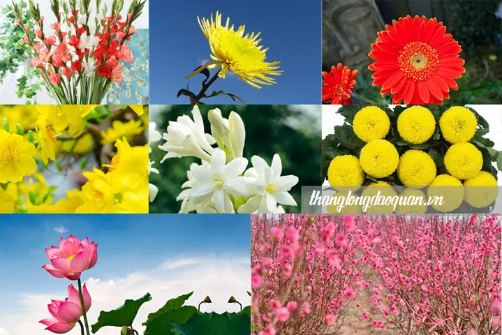 Cúng Giao Thừa Nên Dùng Hoa Gì? Cẩm Nang Chọn Lọc Ý Nghĩa