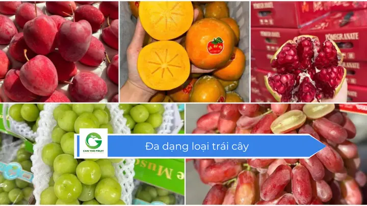 🍍 Bảng Ý Nghĩa Các Loại Trái Cây Thường Dùng: