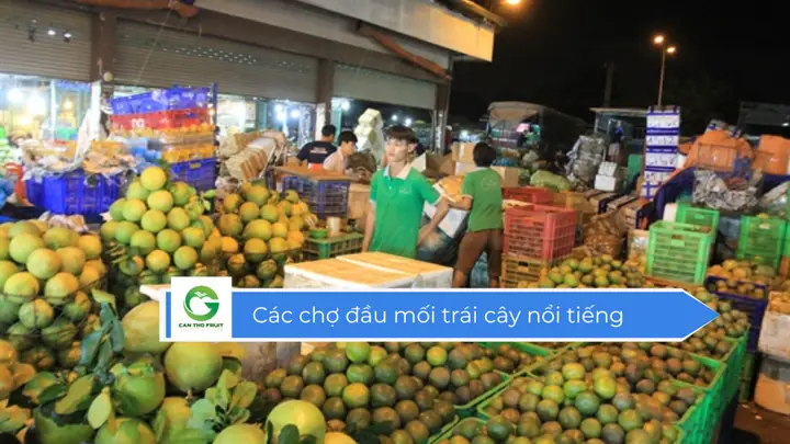 📈 Bảng Giá Ưu Đãi Dành Cho Đại Lý: