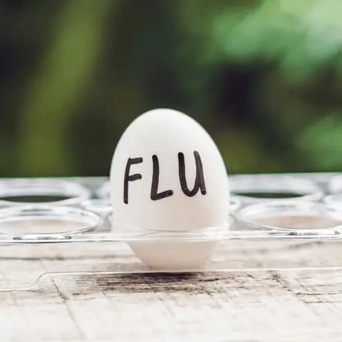 Cúm Gia Cầm H5n1: Ảnh Hưởng Của Nó Đến Chuỗi Cung Ứng Trứng ...