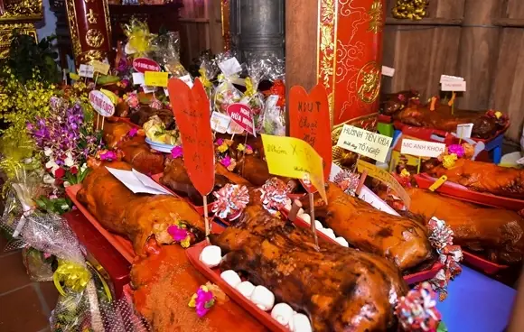 Heo Quay Cúng Tổ Ngành Chất Lượng, Thơm Ngon