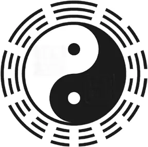 Hiện Tượng Giấc Mơ Nối Tiếp: Giải Mã Bí Ẩn Về Những Câu Chuyện Giấc Mơ Được Kể Dài Tập