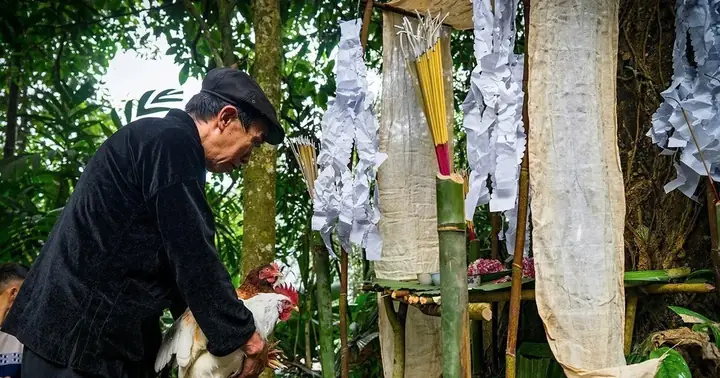Lễ Cúng Rừng Của Người Mông Nơi Đại Ngàn Xanh Nà Hẩu - Di Sản ...