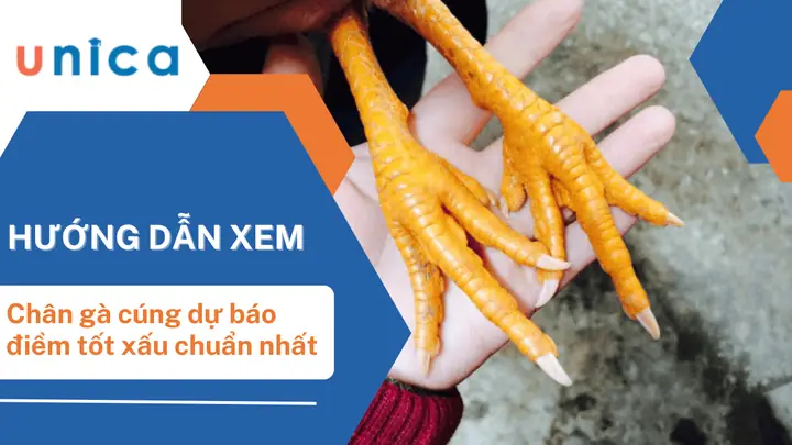 Nghệ Thuật Trình Bày: Cách Tạo Hình Ảnh Chân Gà Cúng Đẹp, Trang Nghiêm Và Ấn Tượng