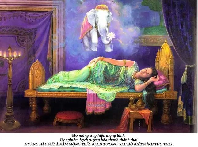 Kể Về Cuộc Đời Đức Phật Qua 108 Hình Ảnh | Núi Rừng Viên Không