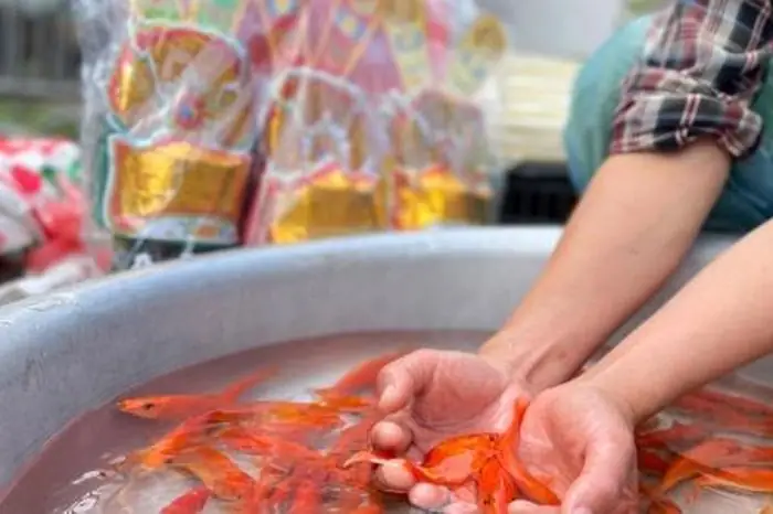 Hình Ảnh Giấy Cúng Ông Táo: Tổng Hợp Mẫu, Cách Viết Và Ý Nghĩa Tâm Linh