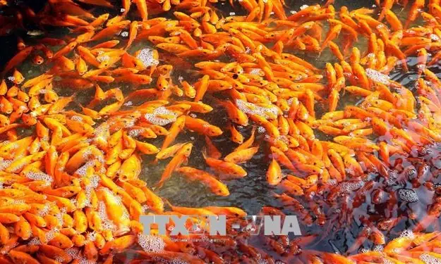 Hiểu Và Thờ Cúng Táo Quân Thế Nào Cho Đúng Với Phong Tục Trong ...