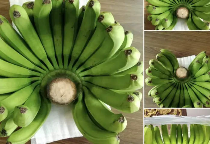 Ý Nghĩa Của Hình Nải Chuối Cúng Trong Phong Thủy Và Tâm Linh