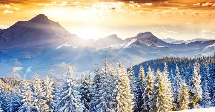 Lễ Nôen Và Ngày Ra Đời Của Thần Mặt Trời - Giảng Đạo