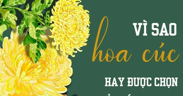 Top 5 Loại Hoa Tốt Nhất Dâng Cúng: Nên Chọn Cúc, Vạn Thọ Hay Hồng?