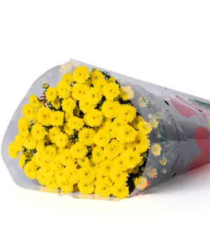 Cúc Calimero Vàng (10 Cành) - Hoa Yêu Thương