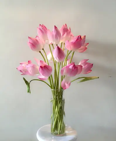 Top 7 Loại Hoa Cúng Bàn Thờ Gia Tiên: Ý Nghĩa Tâm Linh Và Lưu Ý Quan Trọng