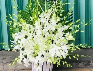 Top 10 Mẫu Hoa Cúng Đám Tang Ý Nghĩa Và Phù Hợp Nhất Hiện Nay