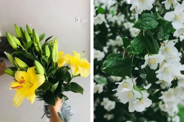 Top 5+ Loại Hoa Cúng Động Thổ Xây Nhà Mang Lại May Mắn Cho Gia Chủ