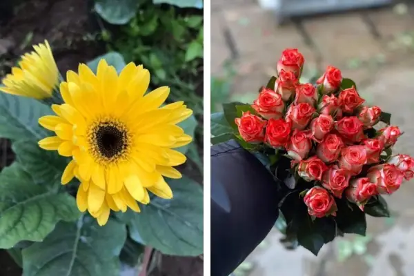 Top 5+ Loại Hoa Cúng Động Thổ Xây Nhà Mang Lại May Mắn Cho Gia Chủ