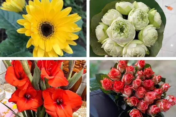 Top 5+ Loại Hoa Cúng Động Thổ Xây Nhà Mang Lại May Mắn Cho Gia Chủ