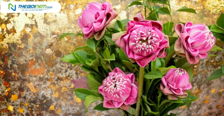 Loại Hoa Cúng Bàn Thờ Ngày Tết Ý Nghĩa Và Cách Chọn Chuẩn Nhất