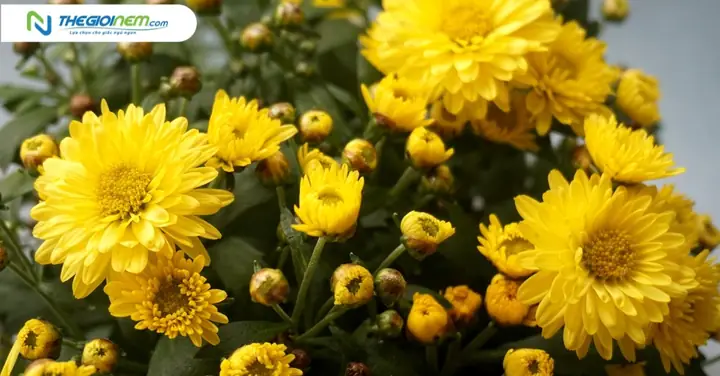 Loại Hoa Cúng Bàn Thờ Ngày Tết Ý Nghĩa Và Cách Chọn Chuẩn Nhất