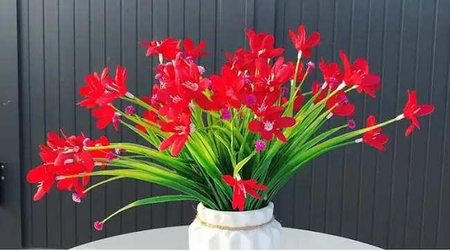 Top 6 Loại Hoa Cúng Thần Tài - Ông Địa Tốt Nhất, Hút Lộc Vào Nhà